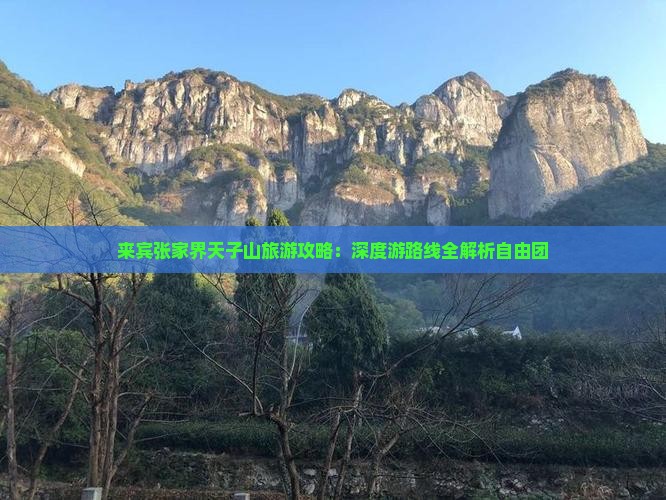 来宾到张家界天子山自由团