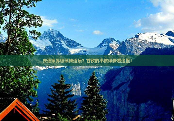 甘孜去张家界玻璃栈道门票
