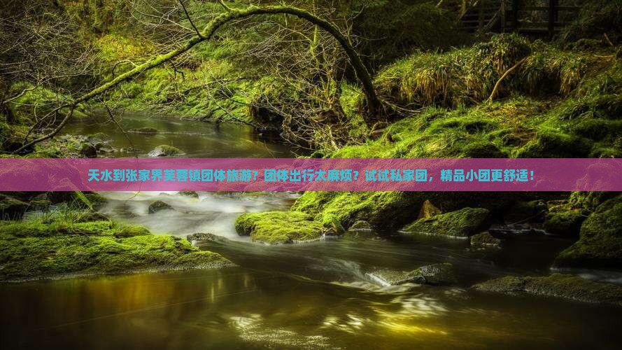 天水到张家界芙蓉镇团体旅游