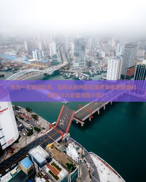 梅州到张家界袁家界旅游小吃 梅州到张家界袁家界旅游小吃