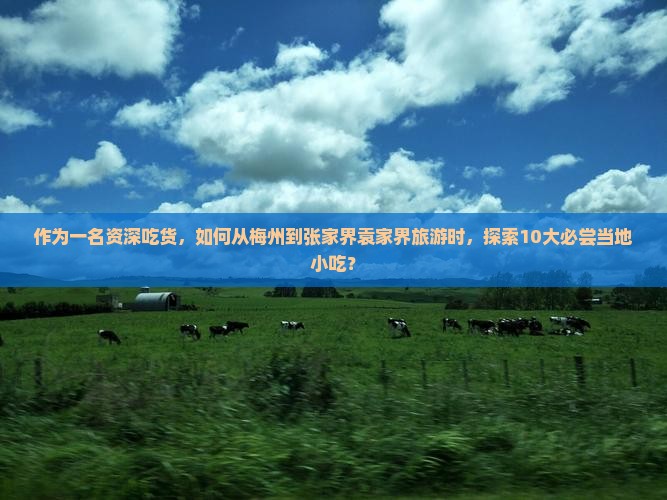 梅州到张家界袁家界旅游小吃 梅州到张家界袁家界旅游小吃