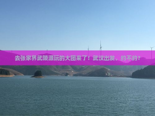 武汉到张家界武陵源大型旅游团