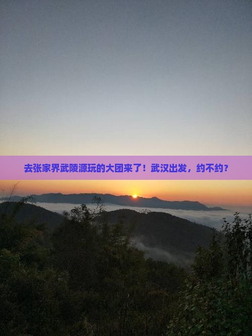 武汉到张家界武陵源大型旅游团