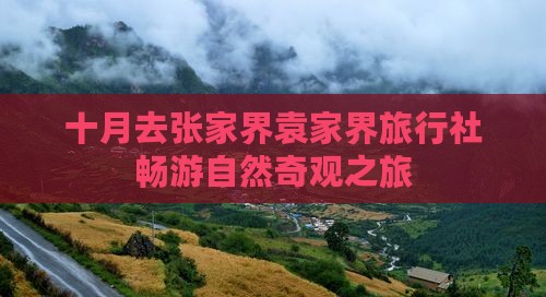 十月去张家界袁家界旅行社