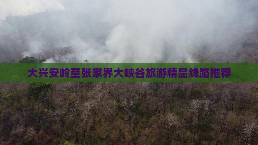 大兴安岭去张家界大峡谷团体旅游