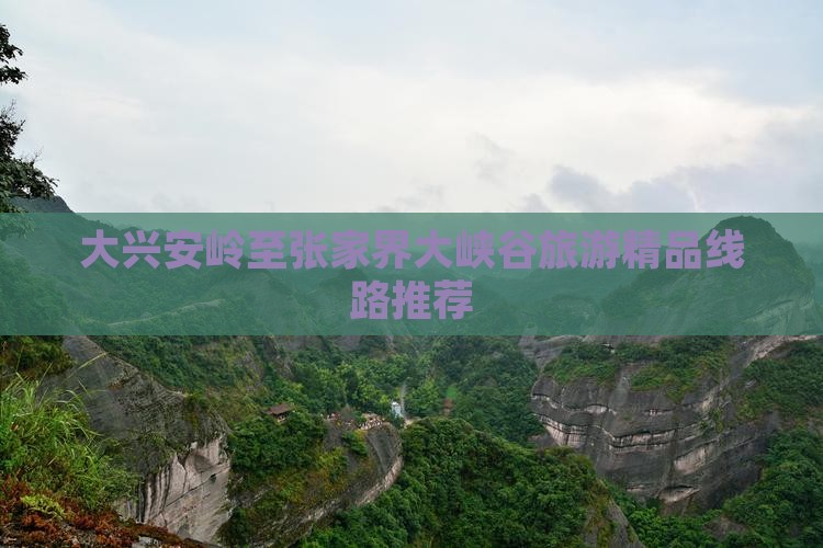 大兴安岭去张家界大峡谷团体旅游