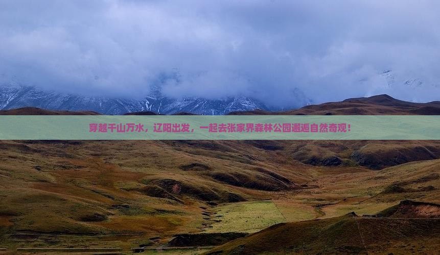 辽阳到张家界森林公园旅游