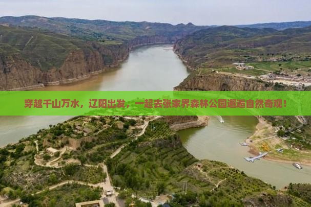 辽阳到张家界森林公园旅游