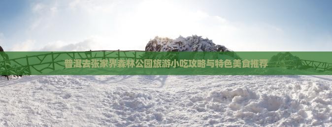 普洱去张家界森林公园旅游小吃 普洱去张家界森林公园旅游小吃