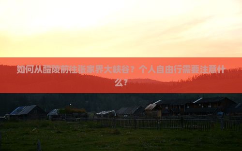 醴陵到张家界大峡谷个人游