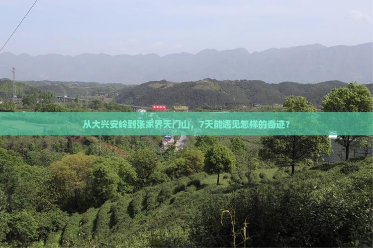 大兴安岭去张家界天门山七日游