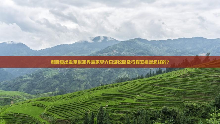 鄢陵县到张家界袁家界六日游
