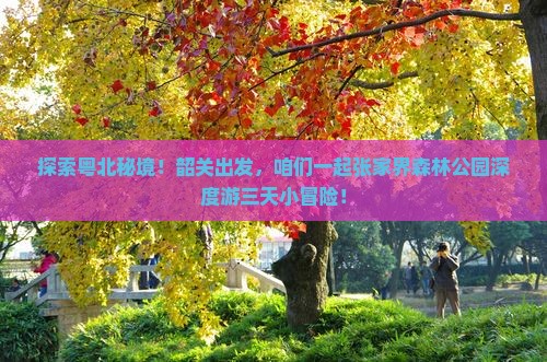 韶关到张家界森林公园三日游