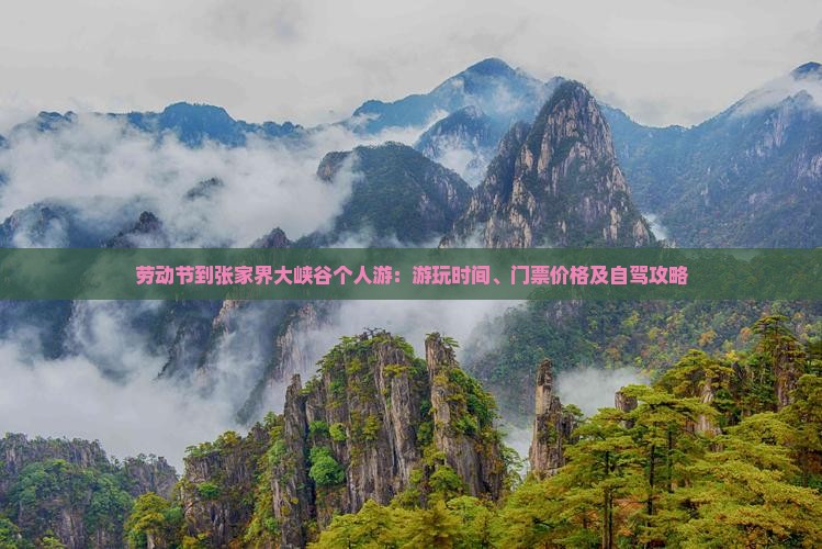 劳动节到张家界大峡谷个人游