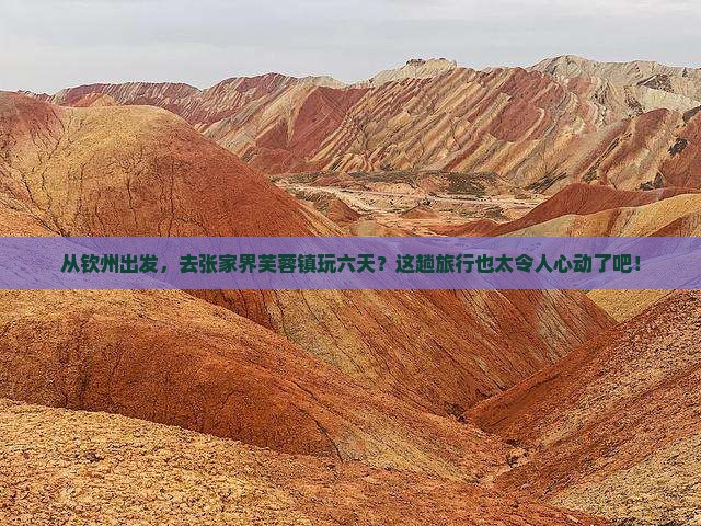钦州去张家界芙蓉镇六日游