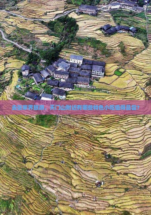 天门去张家界旅游小吃