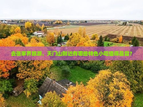 天门去张家界旅游小吃