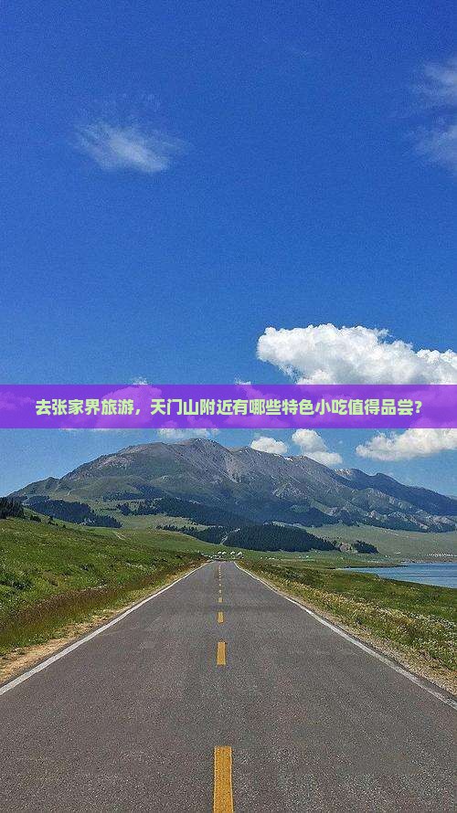 天门去张家界旅游小吃