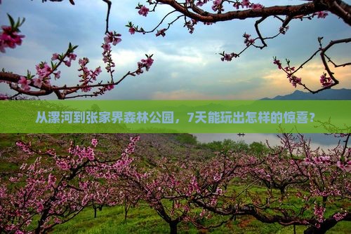 漯河去张家界森林公园七日游