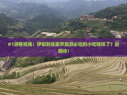 伊犁哈萨克去张家界旅游小吃