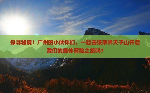 广州去张家界天子山团体旅游