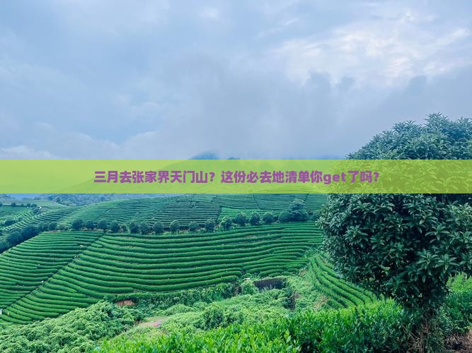 三月到张家界天门山必去地