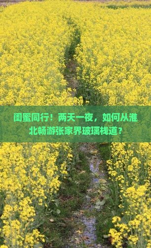 淮北去张家界玻璃栈道二日游