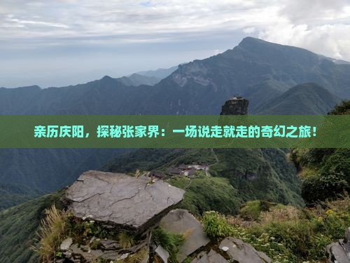 庆阳去张家界攻略