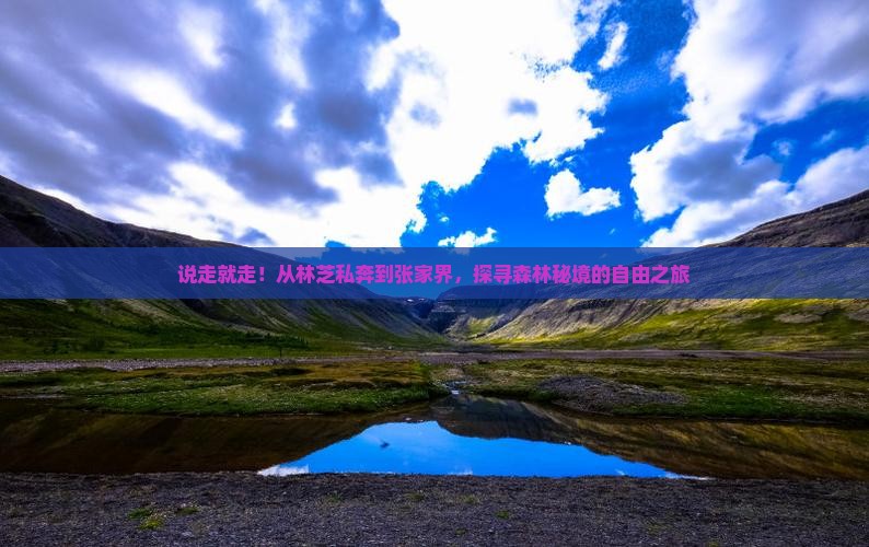 林芝去张家界森林公园自由行