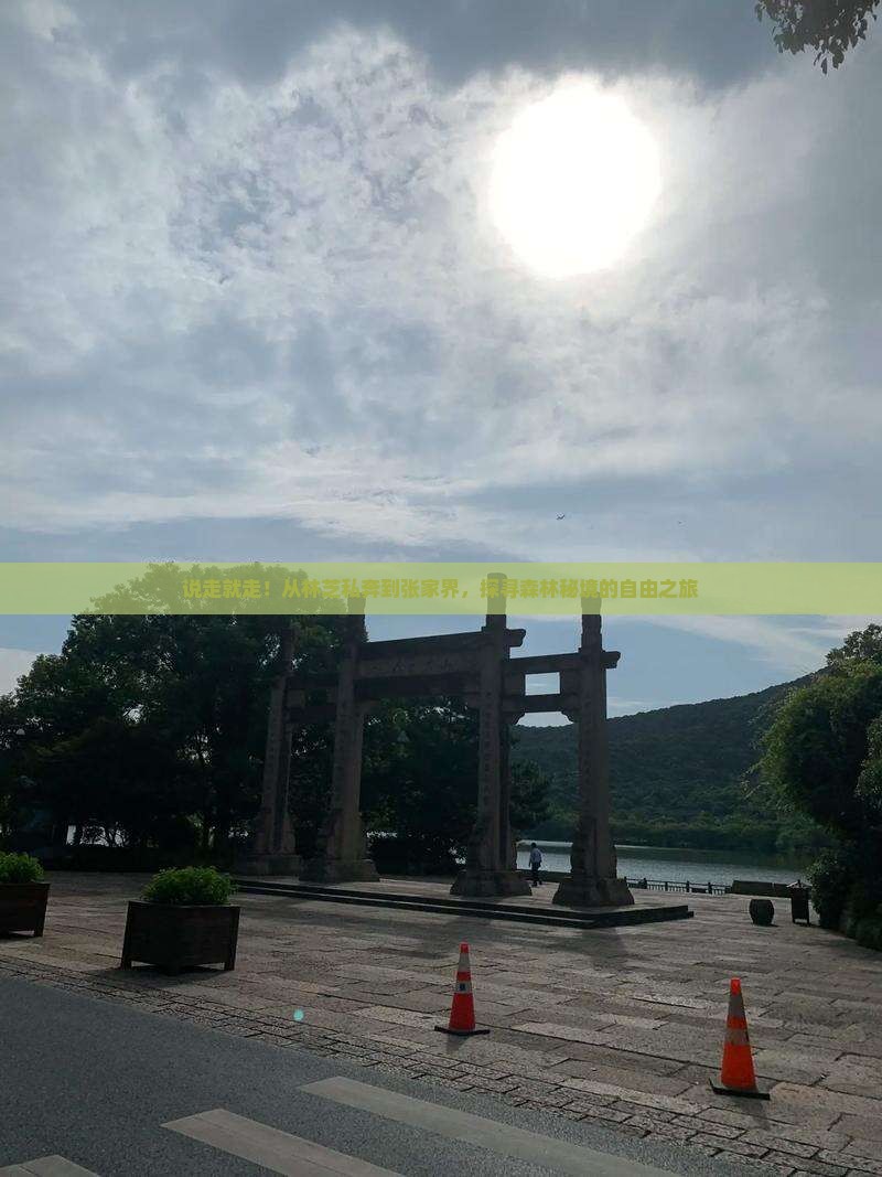 林芝去张家界森林公园自由行