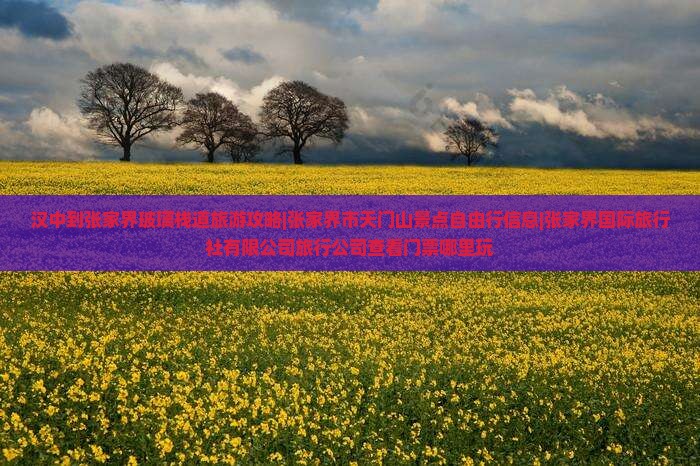 汉中到张家界玻璃栈道哪里玩