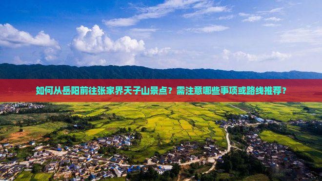 岳阳去张家界天子山景点
