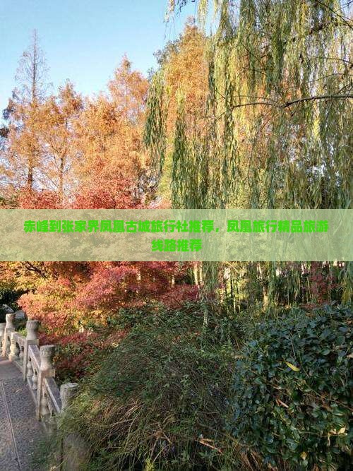 赤峰去张家界凤凰古城旅行社