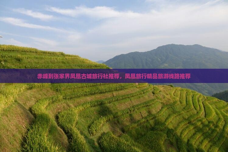 赤峰去张家界凤凰古城旅行社