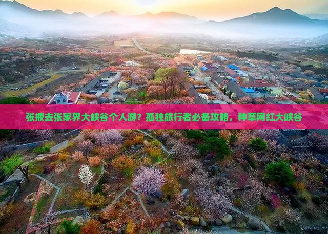 张掖去张家界大峡谷个人游