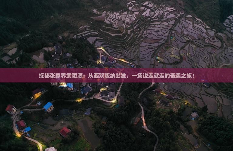 西双版纳去张家界武陵源哪里玩