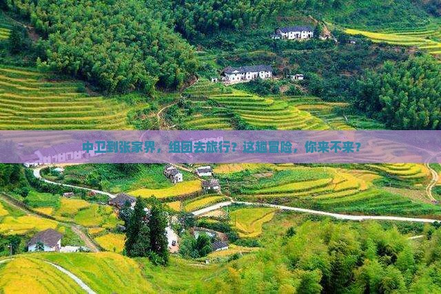 中卫去张家界团体旅游