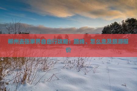 郴州去张家界自由行