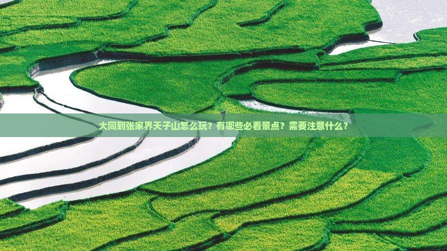 大同到张家界天子山哪里玩