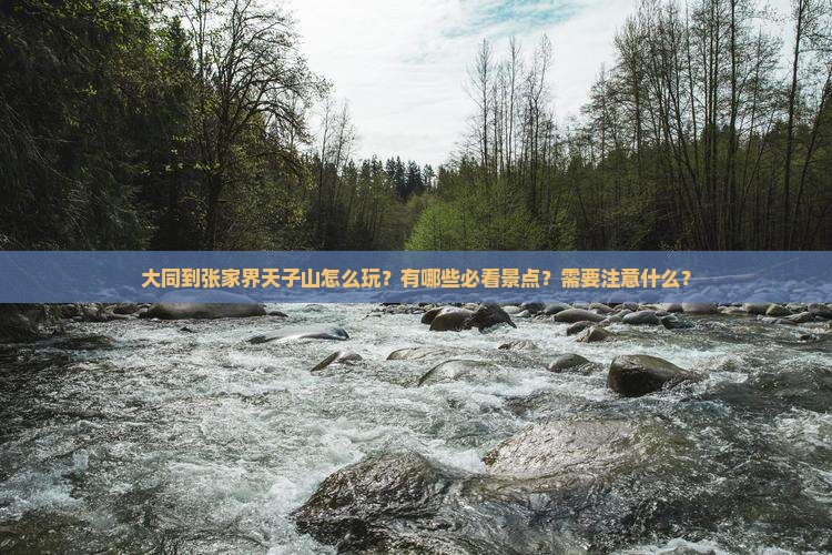 大同到张家界天子山哪里玩
