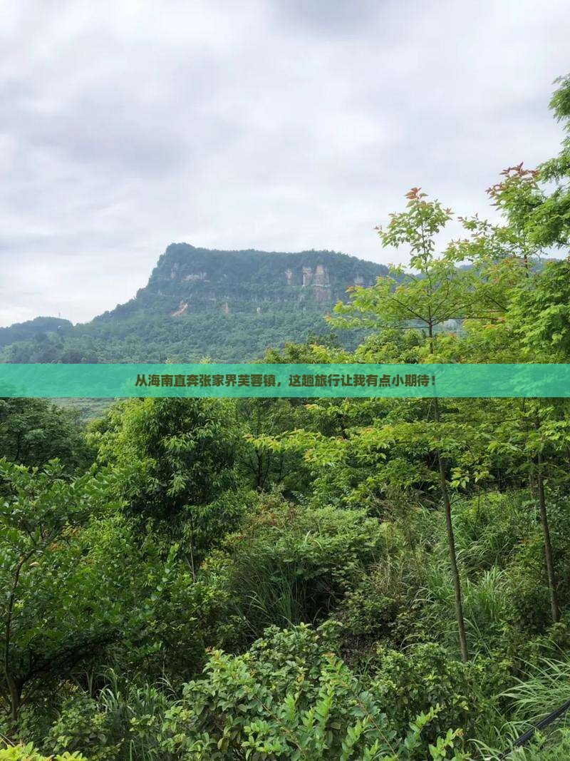 海南省直辖到张家界芙蓉镇旅游