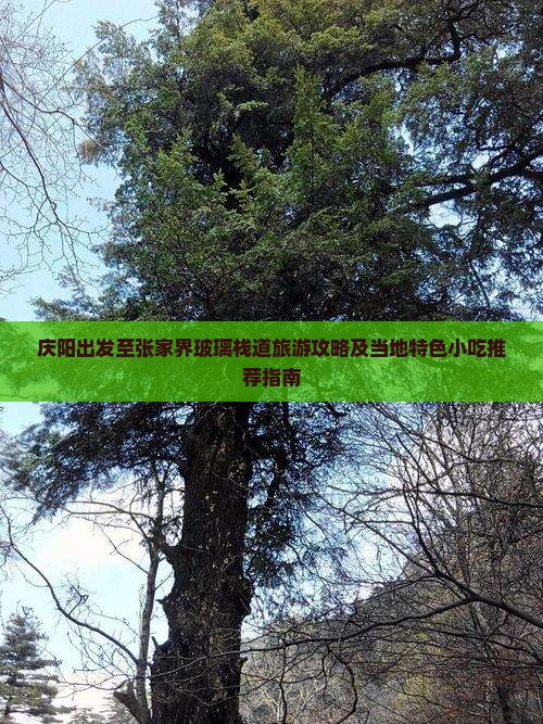 庆阳到张家界玻璃栈道旅游小吃