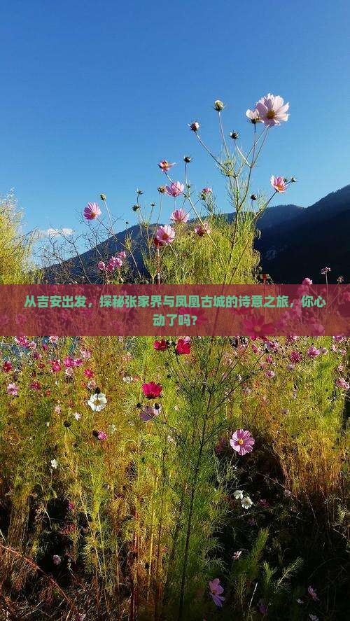 吉安去张家界凤凰古城自由行