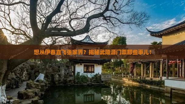 伊春去张家界武陵源门票