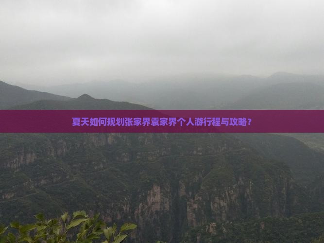 夏天到张家界袁家界个人游