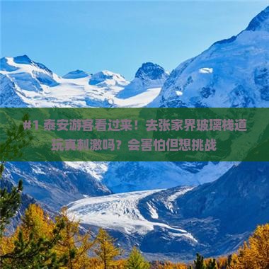 泰安去张家界玻璃栈道旅游 泰安去张家界玻璃栈道旅游