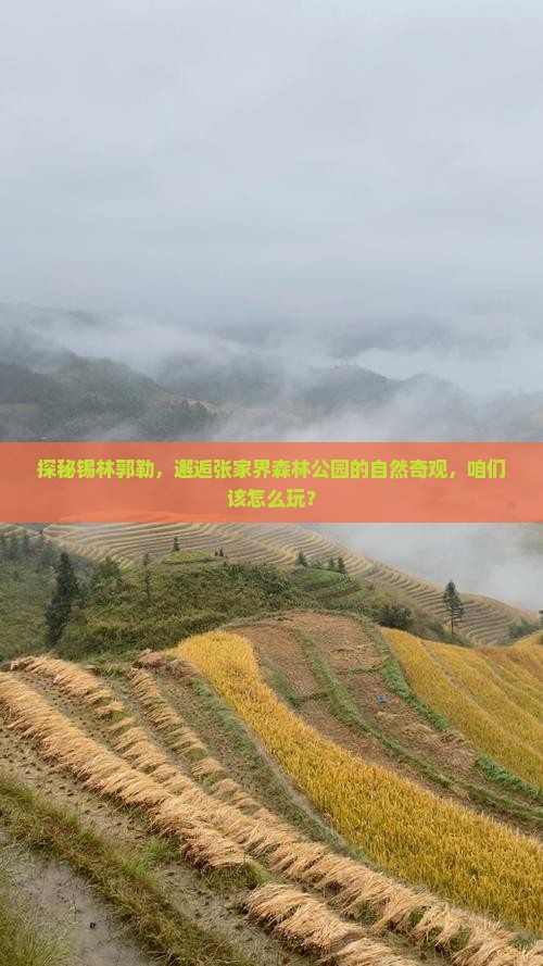 锡林郭勒盟去张家界森林公园哪里玩