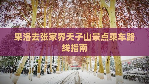 果洛去张家界天子山景点