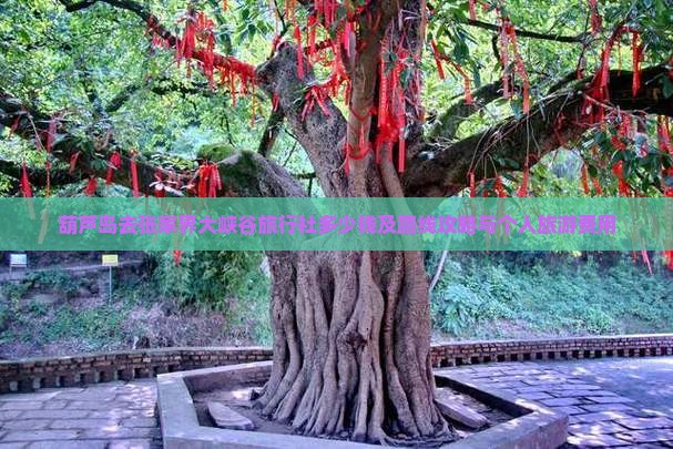 葫芦岛去张家界大峡谷旅行社