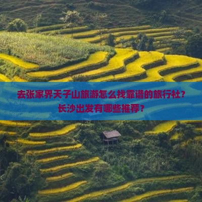 长沙去张家界天子山旅行社 长沙去张家界天子山旅行社